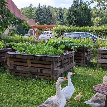 Helenes Auszeit Im Seenland - Lausitzer Seenland Ferienwohnung Auf Dem Tierhof