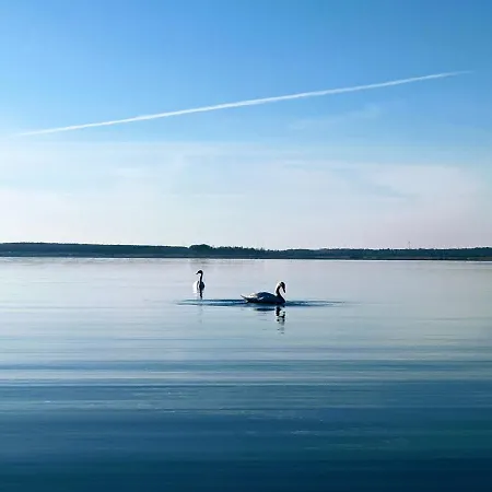 Helenes Auf Dem Bauernhof - Lausitzer Seenland Lauta