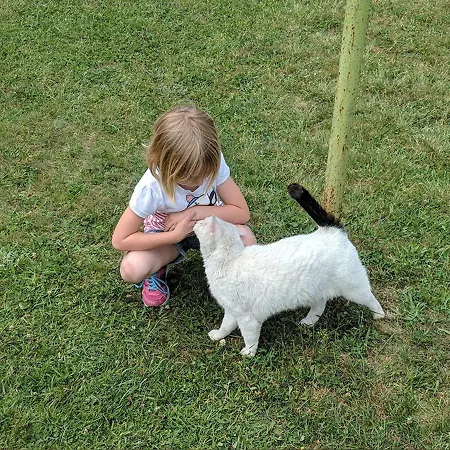Helenes Auf Dem Bauernhof - Lausitzer Seenland Lauta